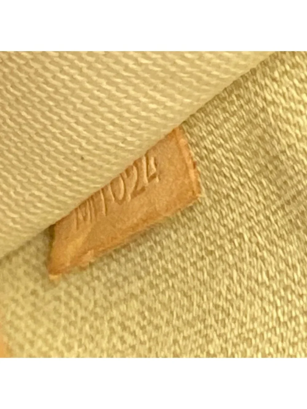 Louis Vuitton Handbag Monogram Trueville